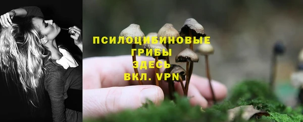 гидропоника Краснотурьинск