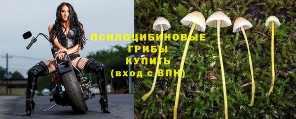 гидропоника Краснотурьинск