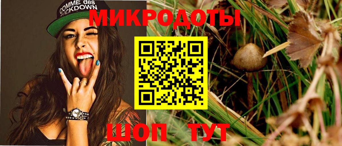 Псилоцибиновые грибы мухоморы Оренбург