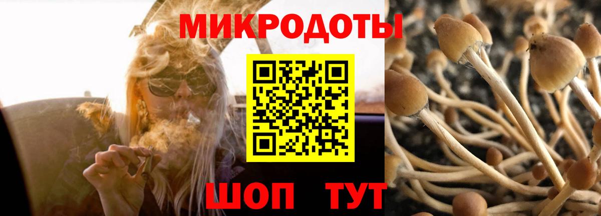 Оренбург  Галлюциногенные грибы ЛСД  Вход с VPN 
